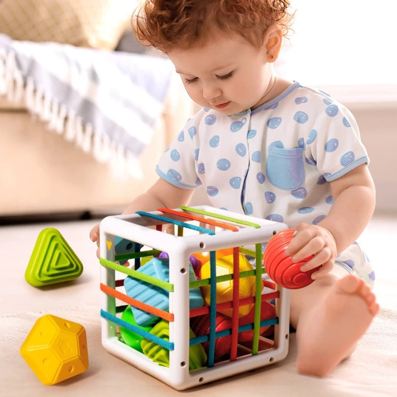 Sensorisk formkub – KibiTots Baby, Montessori, BPA-fri, från 6 månader More For Mini