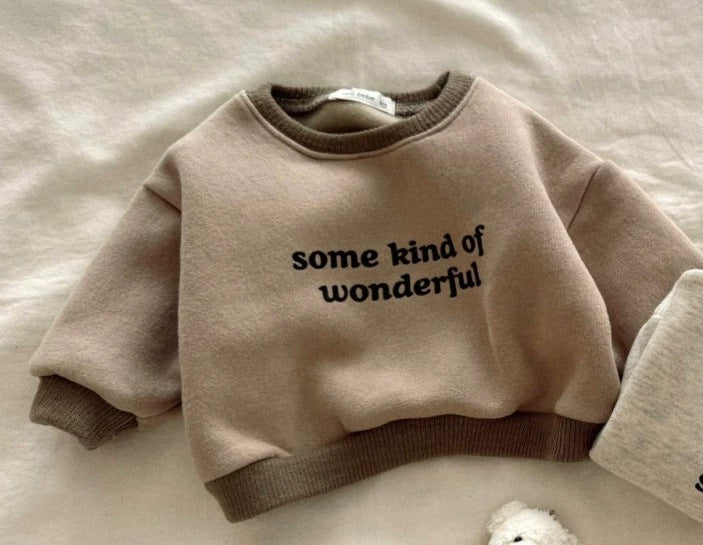 Tröja – WonderWear Unisex, Brun/Grå, Bomull, Storlek 0–5 år More For Mini