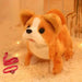 Interactieve Robot Hond voor Kinderen – Speel & Leer met PlayBuddy™ More For Mini