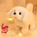 Interactieve Robot Hond voor Kinderen – Speel & Leer met PlayBuddy™ More For Mini