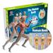 EduBody Menselijk Lichaam Model Kit – Educatief Anatomie Speelgoed voor Kinderen More For Mini