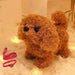 Interactieve Robot Hond voor Kinderen – Speel & Leer met PlayBuddy™ More For Mini