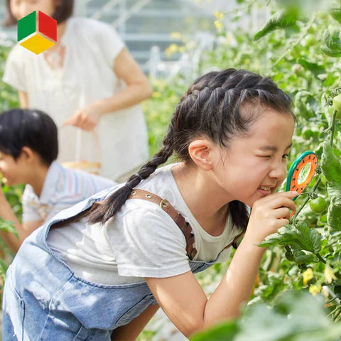 EcoExplorer Insektset – Pedagogiskt Leksak för Barn | Naturutforskning & Äventyr More For Mini