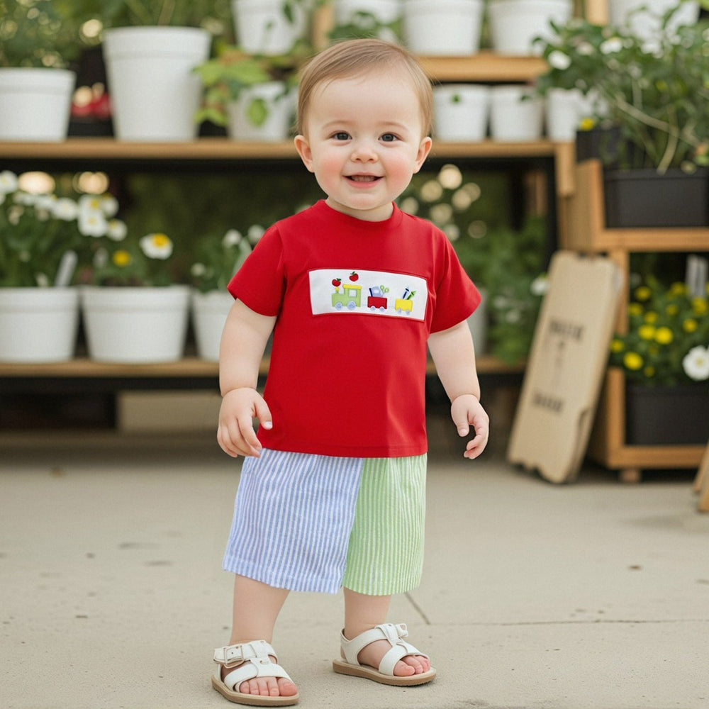 Schooltrain Zomerset Jongens | Rood T-shirt met Treinprint & Gestreepte Short | Katoen & Polyester | 2–6 Jaar | Zomerspeelkleding More For Mini